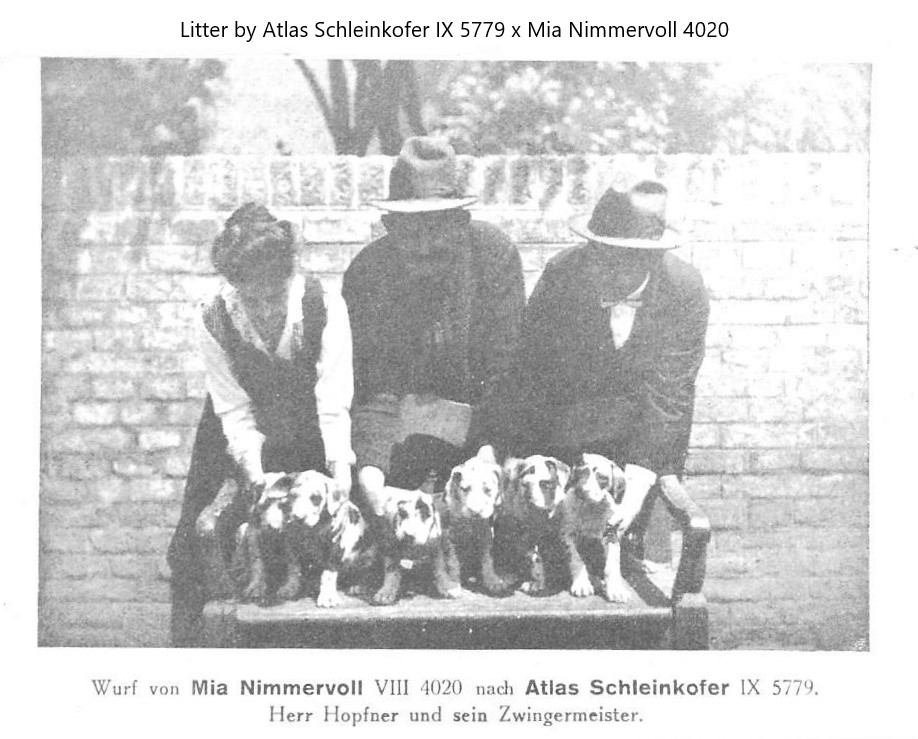 Litter by Atlas Schleinkofer x Mia Nimmervoll